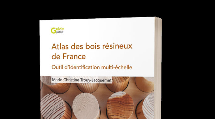 Les éditions Quæ publient l’ouvrage Atlas des bois résineux de France