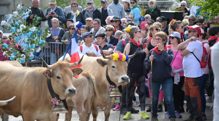 A lire dans Le Bâtiment Artisanal du mois de juin : « La Transhumance pour trait d’union »