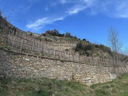 Murs de soutènement, un fruit non défendu Construction pierre sèche. Benoît Gauthier